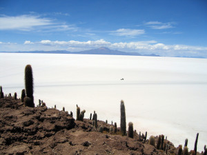 Isla_de_Pescado_Bolivia_Salar_de_Uyuni_1